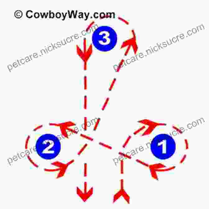 A Diagram Of A Barrel Racing Cloverleaf Pattern, Illustrating The Sequence In Which The Rider And Horse Must Navigate Around The Barrels An To Barrel Racing