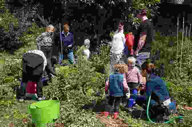 A Group Of People Working Together In A Community Garden, Representing Health Promotion Journey Across The Life Span: Human Development And Health Promotion