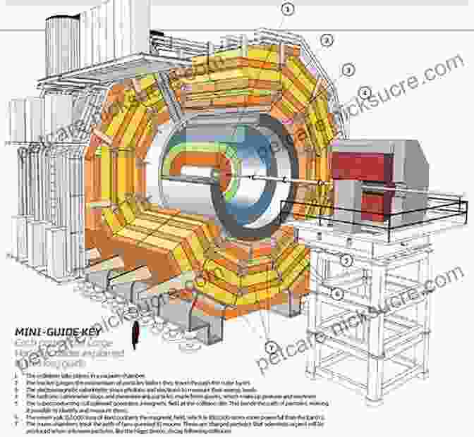 Diagram Showing The Layout Of The Large Hadron Collider Particle Physics Reference Library: Volume 3: Accelerators And Colliders