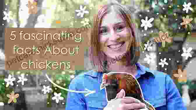 Irina Szmelskyj, Founder Of Hens For Friends, Holds A Chicken In Her Hands. Hens For Friends Irina Szmelskyj
