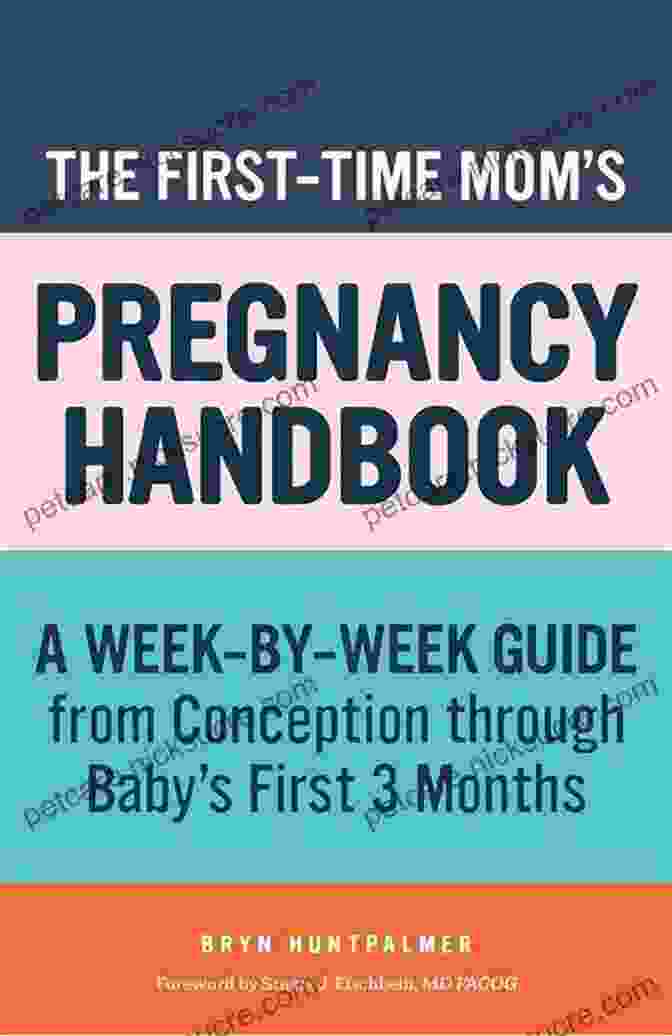 The First Time Mom Pregnancy Handbook The First Time Mom S Pregnancy Handbook: A Week By Week Guide From Conception Through Baby S First 3 Months (First Time Moms)